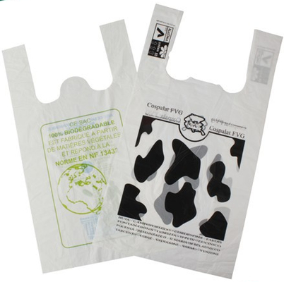 Customizable Compostable Mailing Bag Matte PLA Compostable Bags Eco Friendly With Flexiloop Handle