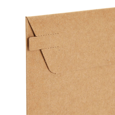 Custom Printed Cardboard Envelope Mailer Biodegradable Cardboard Shipping Envelope