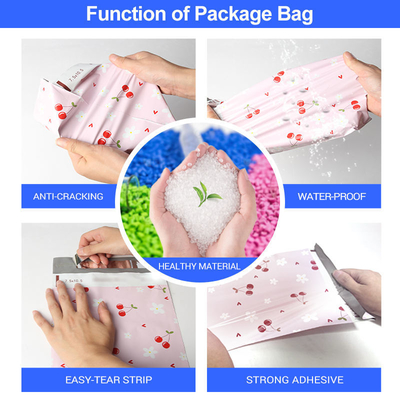 Matte Compostable Mailer Bags Eco Friendly Custom Biodegradable Mailers