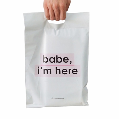 Biodegradable Compostable Poly Mailer Reusable Custom Postage Satchels Waterproof
