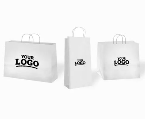 Oem Service Can Design As Client's Requirement Kraft Paper Bag Paper Type Art coated paper Sealing Handle Self Adhesive Seal