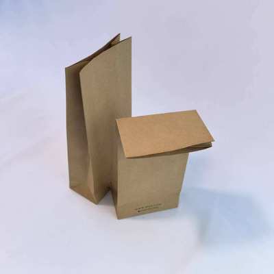 Shopping and Packaging Eco-friendly Kraft Paper Bag with PE Plastic Type